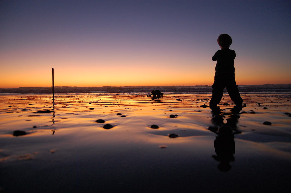 silhoutte photography of child on seashore during golden hour HD wallpaper