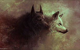 black and white wolves painting HD wallpaper