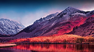 red, pink, and gray mountain