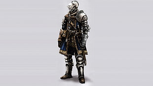 gray and gold-colored armored gladiator