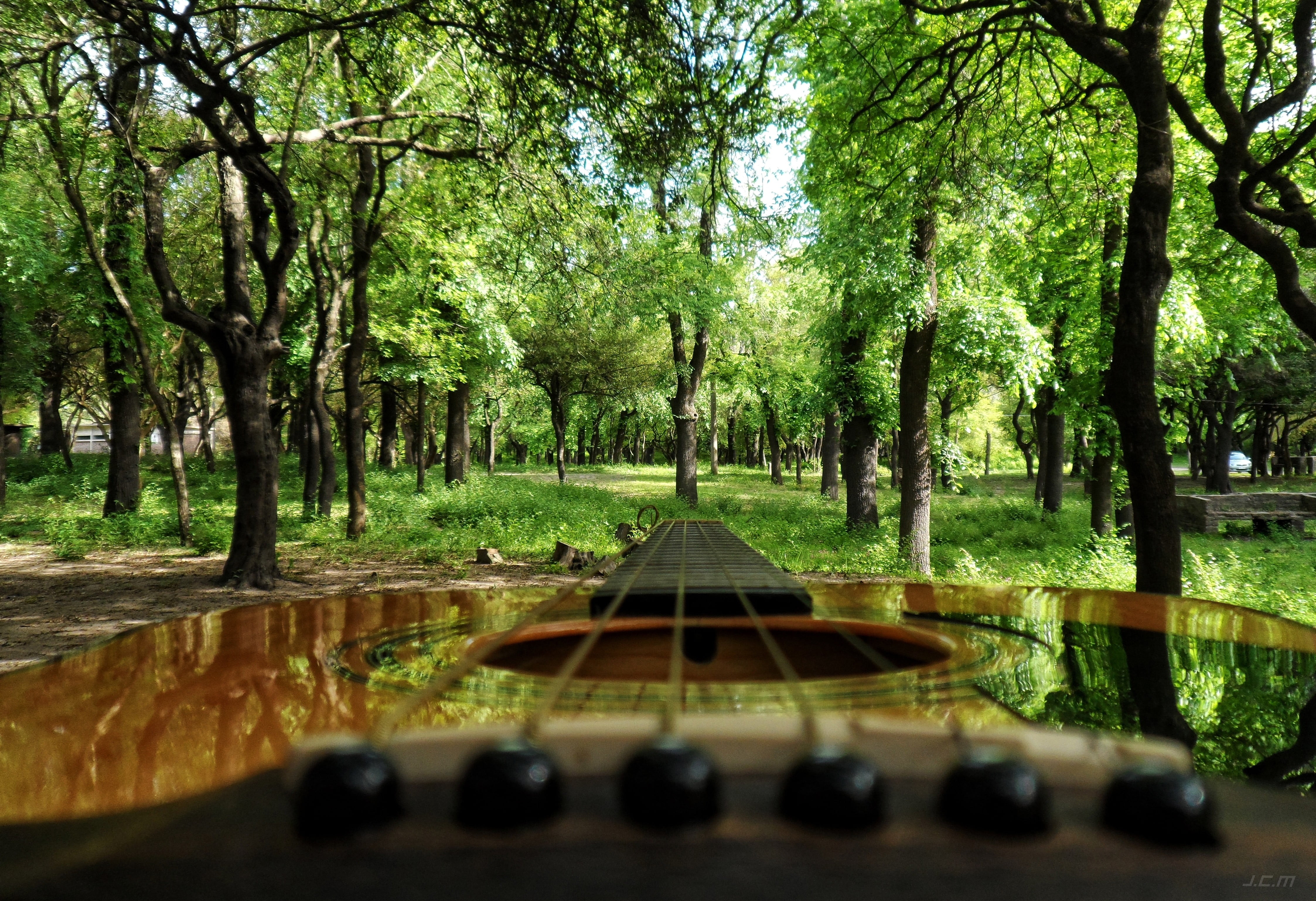 brown and green wooden house, Uruguay , guitar, musical instrument