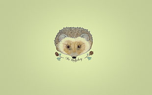 white and gray hedgehog head sticker HD wallpaper