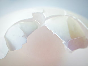 close up photo of cracked open egg, horses