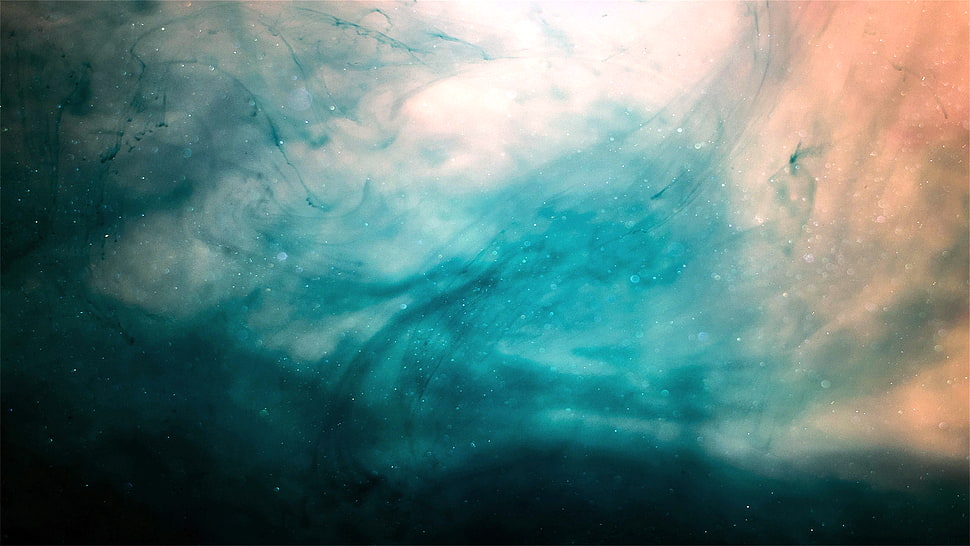 forest HD wallpaper