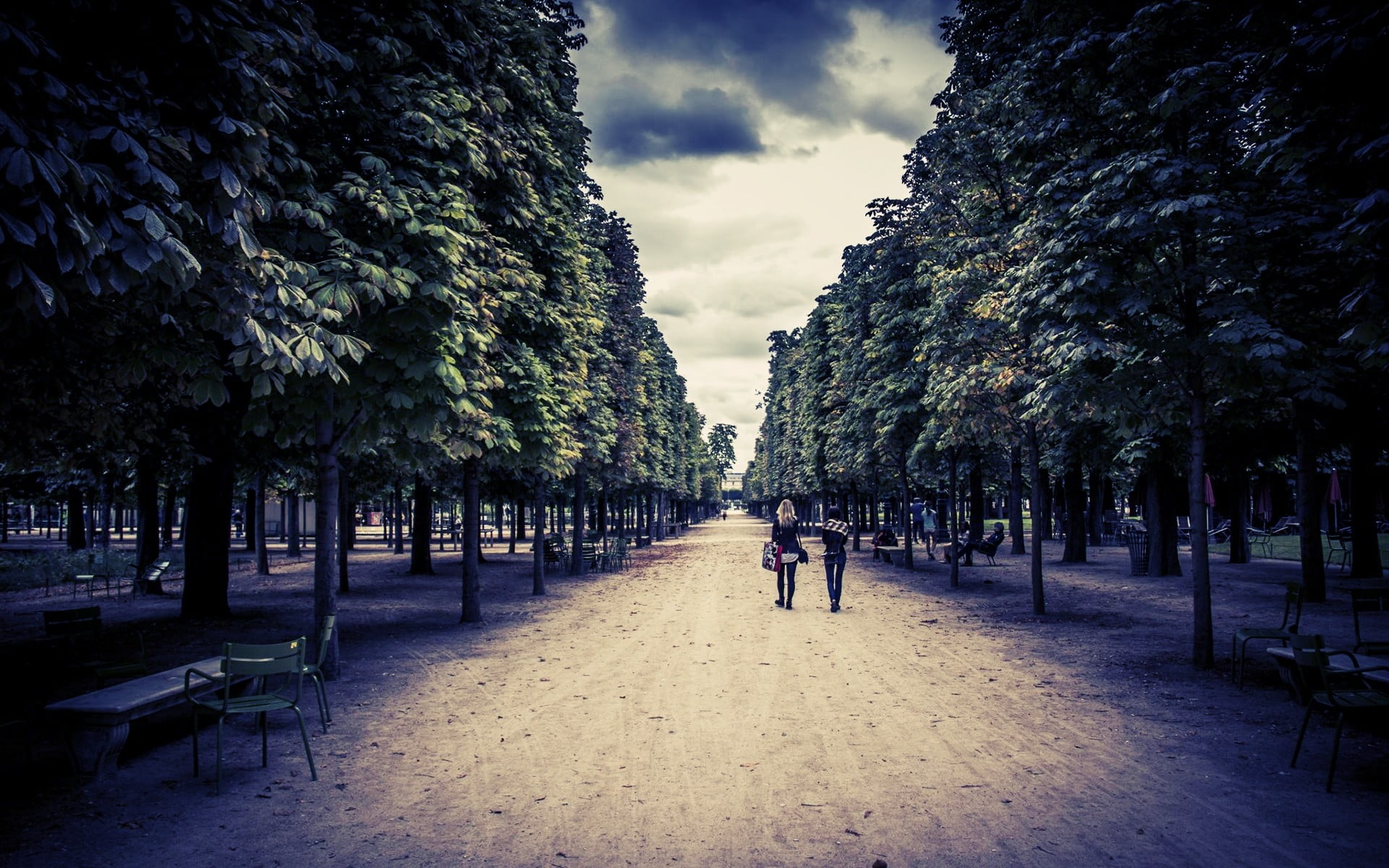 couple walking between green trees