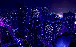 city of high-rise buildings during nighttime