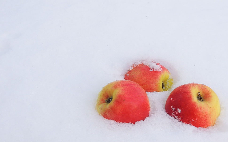 three red apple fruits on snow HD wallpaper