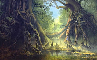 illustration of trees and lake, forest, artwork