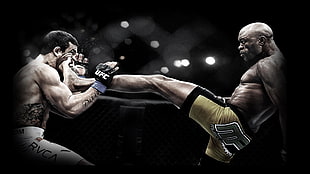 UFC fighter illustration, kickboxing, Anderson Silva
