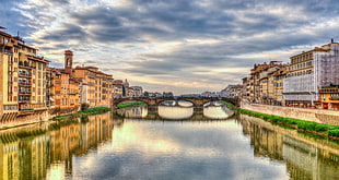 brown concrete bridge during day time