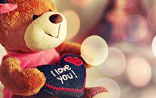 blue and red I love you! teddy bear HD wallpaper