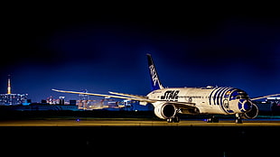 white and blue Star airplane, airplane, Boeing, photography, Boeing 787