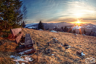 brown wooden bench, mountains, bench, spring, Poland HD wallpaper