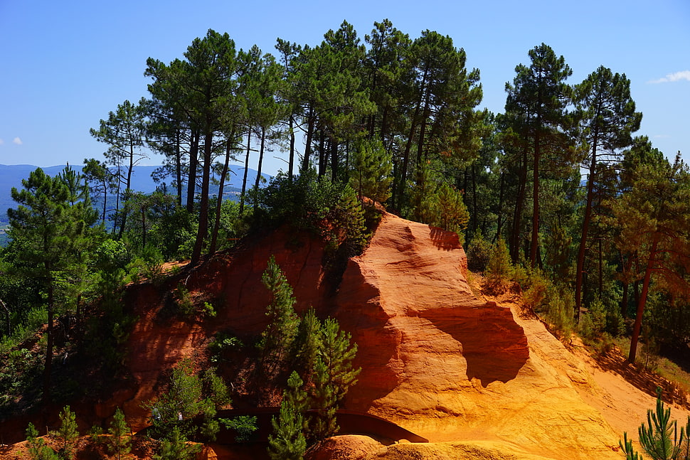 green trees on brown mountain under blue sky HD wallpaper