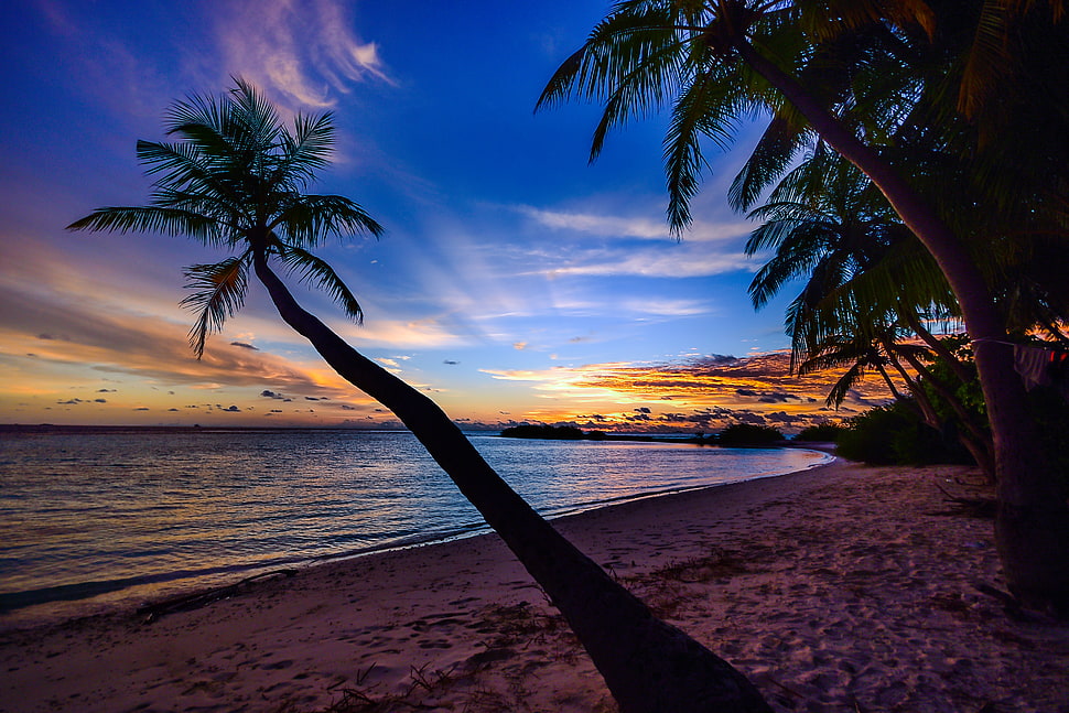 sea, dawn, nature, sky HD wallpaper