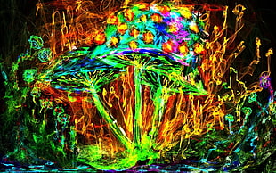 multicolored mushroom abstract painting, mushroom, colorful, psychedelic