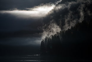 landscape, trees, lake, mist HD wallpaper