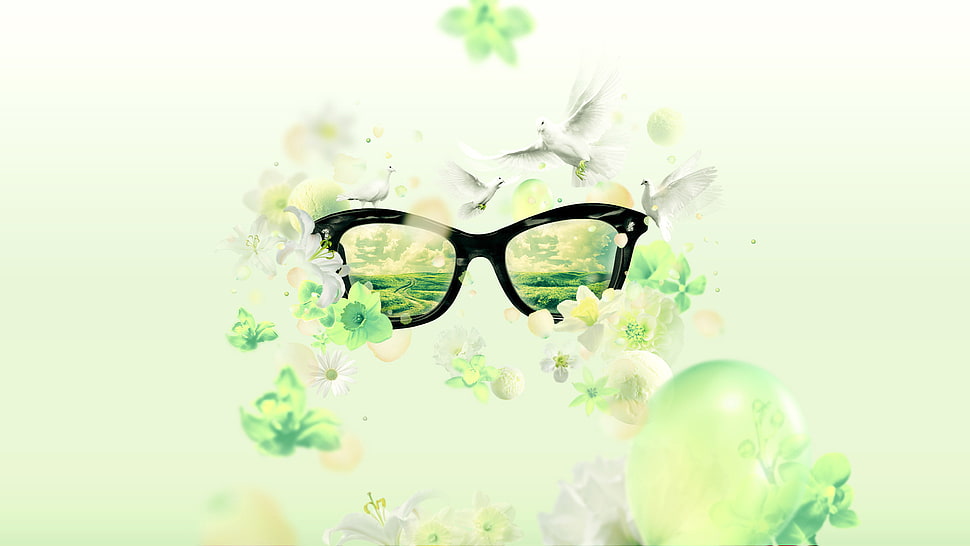black framed sunglasses, glasses, landscape, reflection, birds HD wallpaper