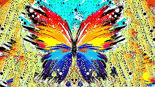 red, orange, blue, teal, and yellow butterfly painting HD wallpaper