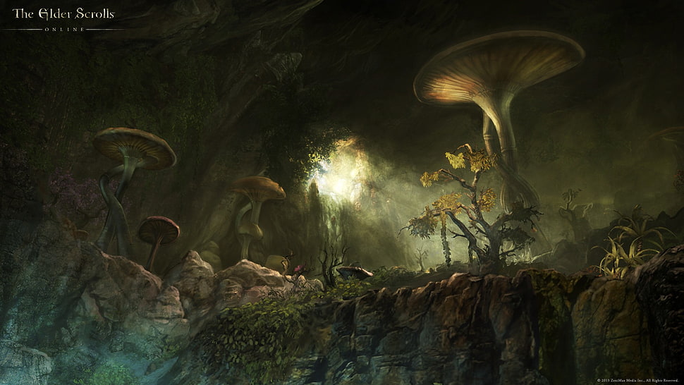 The Elder Scrolls video game illustration, video games, The Elder Scrolls Online HD wallpaper