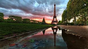 Eiffel Tower ,Paris Wormeye photo