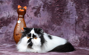 black and white Persian cat beside cat figurine