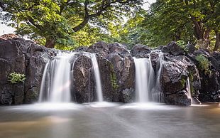 grey rock waterfalls near green leaf tree during daytime