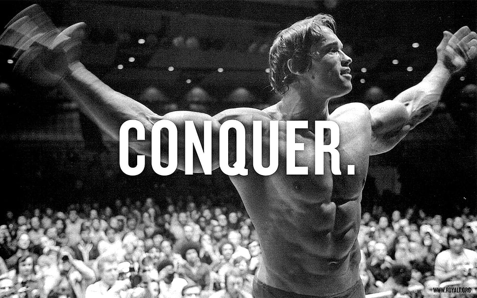 Arnold Schwarzenegger with conquer text overlay, Arnold Schwarzenegger, typography, men, Bodybuilder HD wallpaper