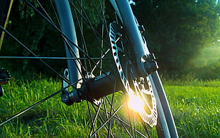 gray bike fork, reflection, sunlight, grass, bicycle