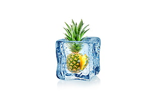 pineapple covered with ice