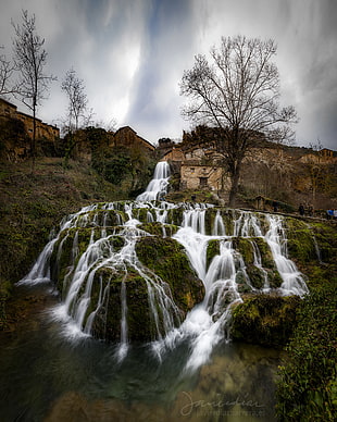 brown bare tree and waterfalls