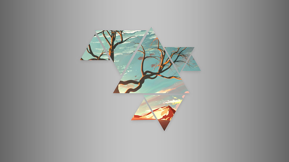 leafless tree artwork, abstract, sunset HD wallpaper