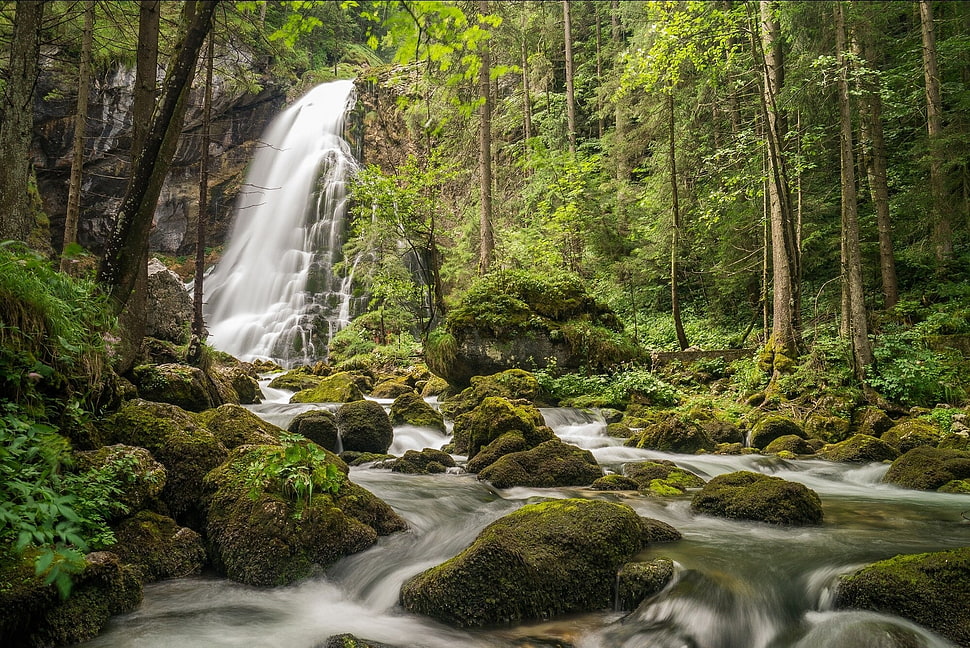 waterfalls scenery, forest, trees, moss HD wallpaper