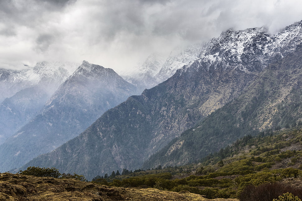 green trees under cloudy sky beside snowy mountain HD wallpaper