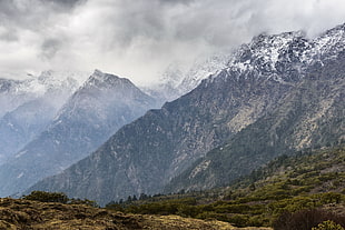 green trees under cloudy sky beside snowy mountain