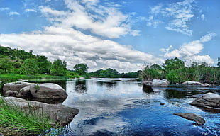 Stones,  Water,  River,  Source HD wallpaper