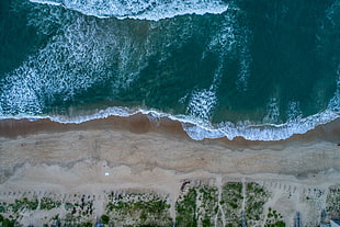 ocean wave, nature, water, beach HD wallpaper