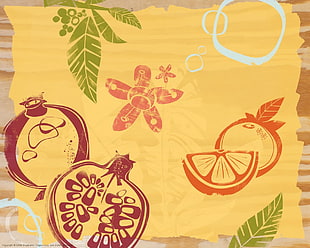 illustration of three varieties of fruits on with beige background