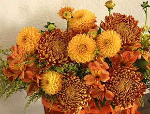 yellow-and-orange flowers