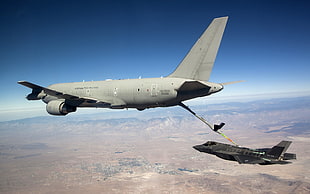 two gray fuel cargo plane and black Raptor fighter plane, Lockheed Martin F-35 Lightning II, military aircraft, aircraft, jet fighter