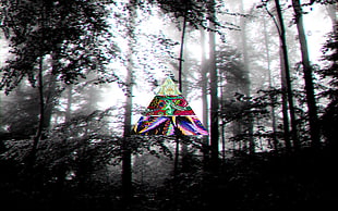 scenery of trees, dark, LSD, forest HD wallpaper