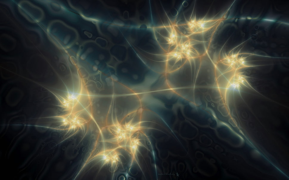 white lights HD wallpaper