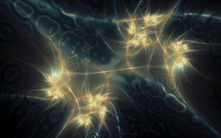 white lights