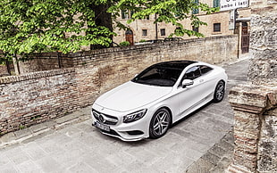 white Mercedes Benz coupe under green leaf tree