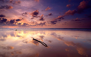 orange sky reflects on a sea HD wallpaper