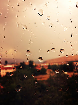 water dew, rain, window, water on glass