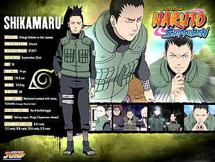 Shikamaru Naruto Shippuden statistics HD wallpaper