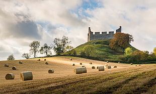 field of hay, Scotland, castle, field, landscape HD wallpaper