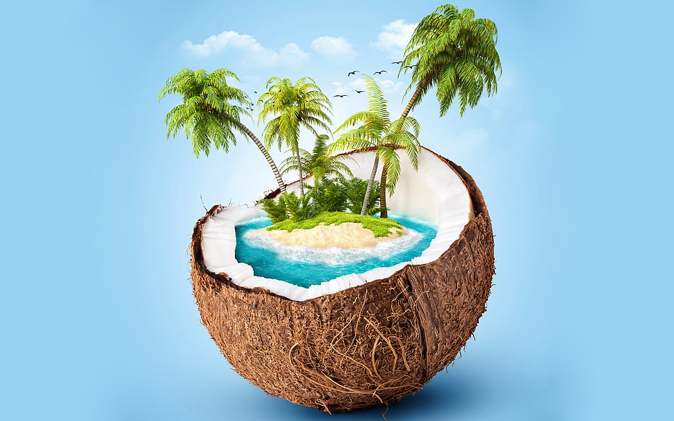 green palm trees illustration, coconuts, island, render, blue background HD wallpaper