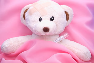 white teddy bear on pink textile